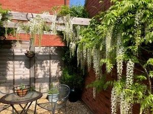 Photo 20- click for photo gallery